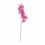 EUROPALMS Orchideeëntak, kunstmatig, paars, 100cm