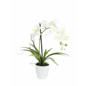 Artificial orchid