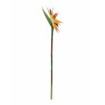 EUROPALMS Parasmusvogel Spray, kunstplant, oranje, 95cm