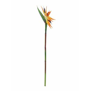 EUROPALMS Bird-of-paradise Spray, artificial plant, orange, 95cm