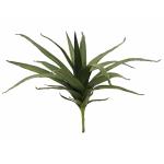 EUROPALMS Aloë (EVA), kunstmatig, groen, 50cm
