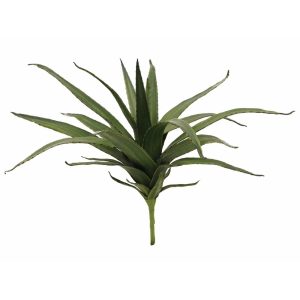 EUROPALMS Aloe (EVA), artificial, green, 50cm