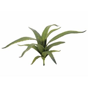 EUROPALMS Aloe (EVA), artificial, green, 66cm