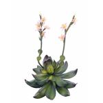 EUROPALMS Huiseleeks (EVA), kunstplant, roze, 32cm