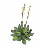 EUROPALMS Huiseleeks (EVA), kunstplant, geel, 32cm