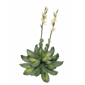 EUROPALMS Houseleeks (EVA), artificial plant, yellow, 32cm