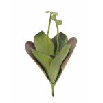 EUROPALMS Waterlelie (EVA),kunstplant, gesloten, groen, 45cm