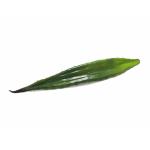 EUROPALMS Aloë blad (EVA), kunstmatig, groen, 60cm