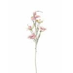 EUROPALMS Magnolia tak (EVA), kunstmatig, wit roze