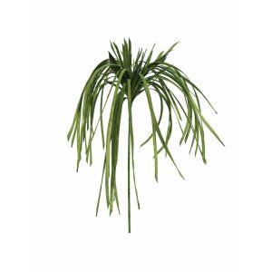 EUROPALMS Sea grass (EVA), artificial, green