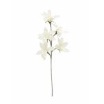 EUROPALMS Clematis Tak (EVA), kunstmatig, wit