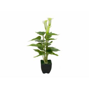EUROPALMS Mini Calla, artificial plant, white, 43cm