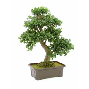 EUROPALMS Bonsai, artificial plant, 61 cm