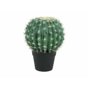 EUROPALMS Barrel Cactus, artificial plant, 34cm