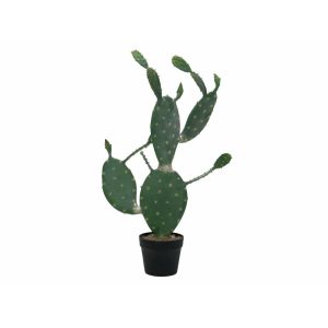 EUROPALMS Nopal cactus, artificial plant, 76cm