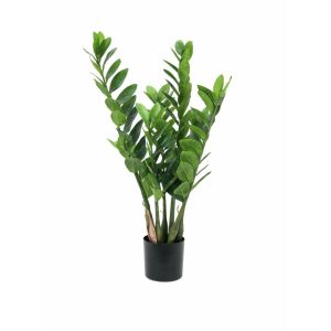 EUROPALMS Zamifolia, artificial plant, 70cm