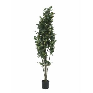 EUROPALMS Schefflera, artificial,120cm