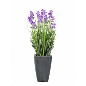 EUROPALMS Lavender, artificial plant, purple, in pot, 45cm