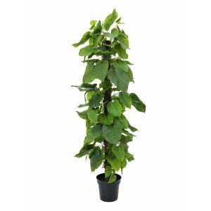 EUROPALMS Pothos Plant, artificial plant, 180cm