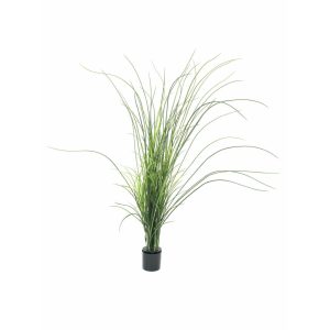 EUROPALMS Reed (grass),  artificial, 145cm