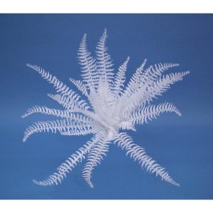 EUROPALMS White boston fern, artificial, 60cm