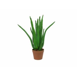 EUROPALMS Aloe Vera Plant, artificial plant, 63cm