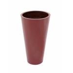 EUROPALMS LEICHTSIN ELEGANCE-69, glanzend rood