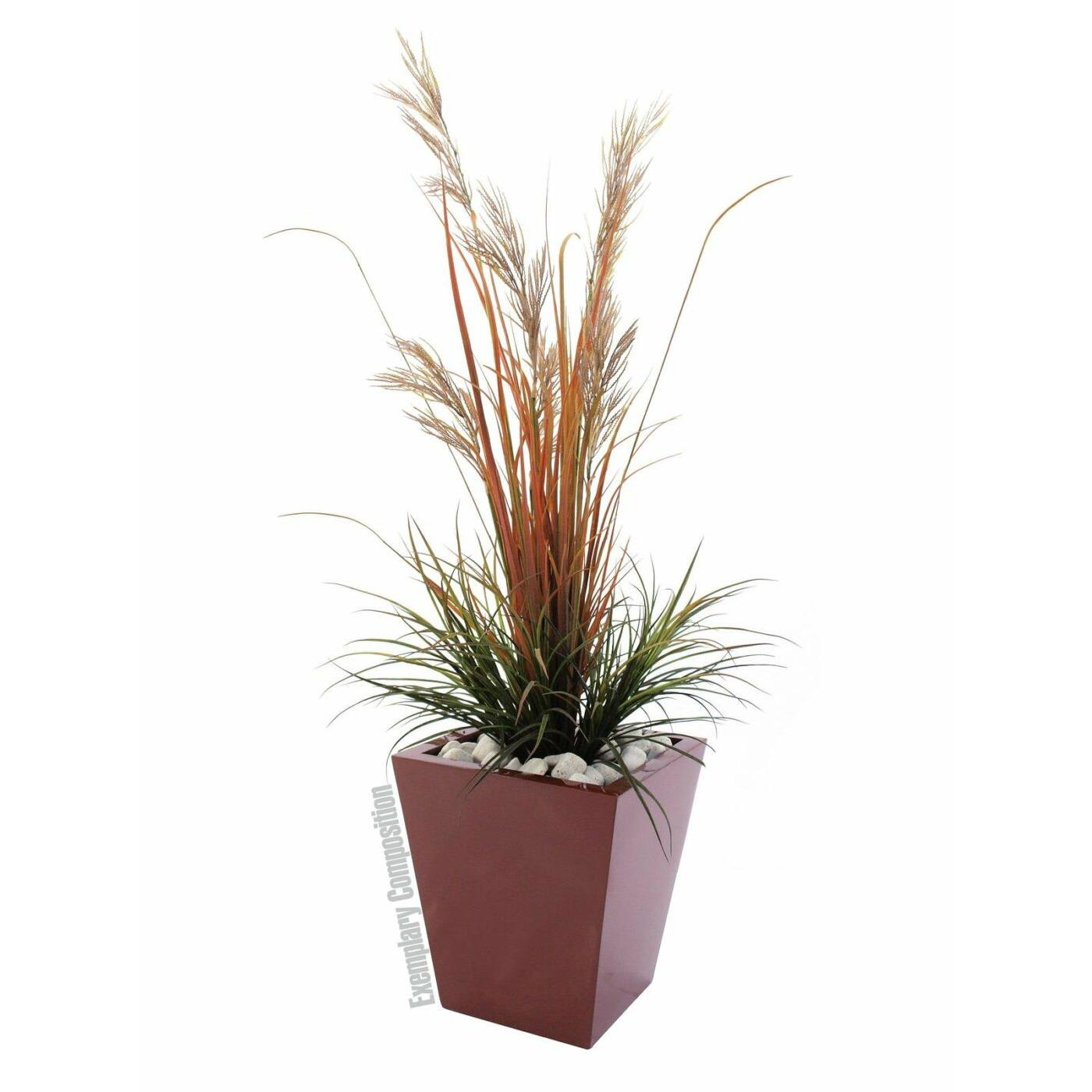 EUROPALMS LEICHTSIN BASIC-50, shiny-red - Image 3