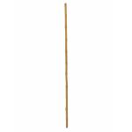 EUROPALMS Bamboe buis, √ò=3cm, 200cm