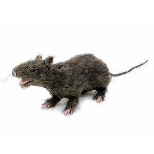 EUROPALMS Rat, lifelike with coat 30cm