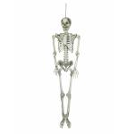 Europalmen Halloween skelet 150 cm