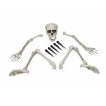 Europalmen Halloween skelet met grondpenn