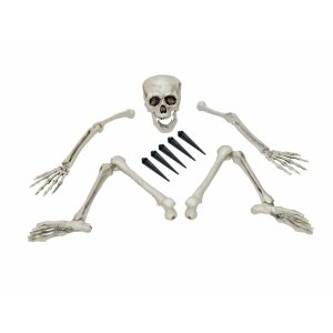 Skeleton
