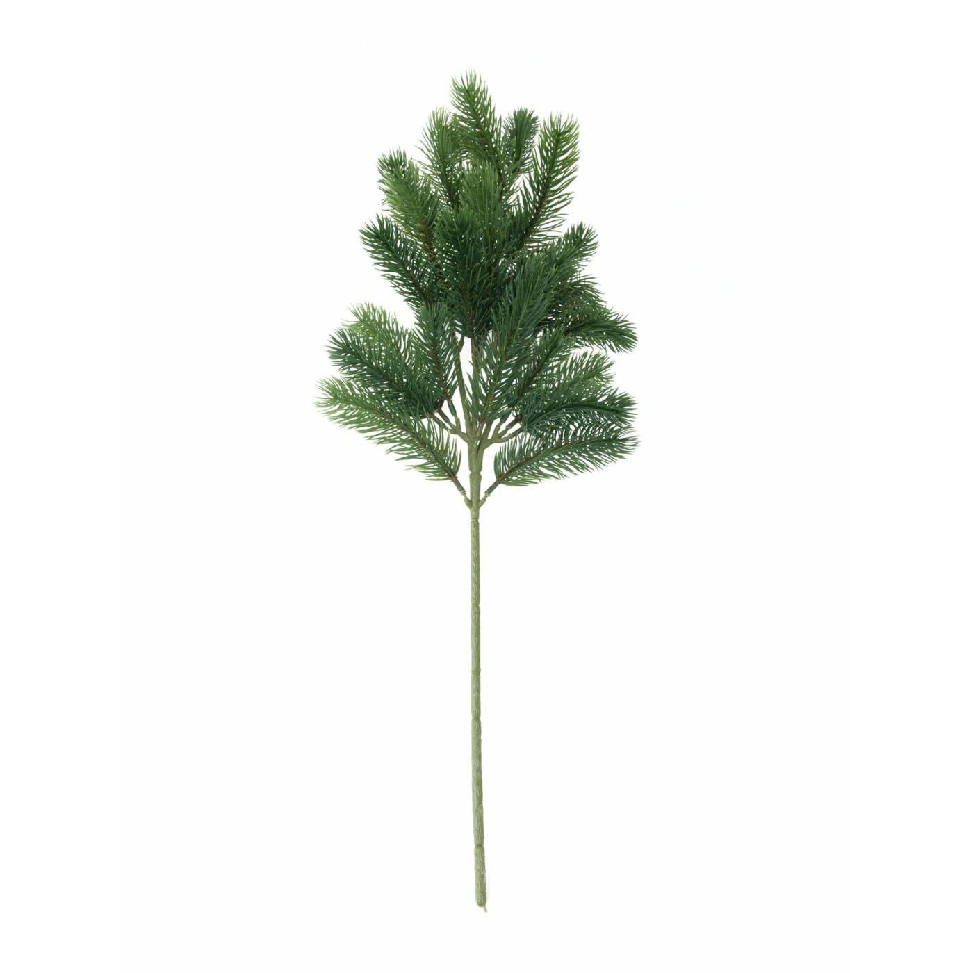 EUROPALMS Fir branch, PE, 65cm