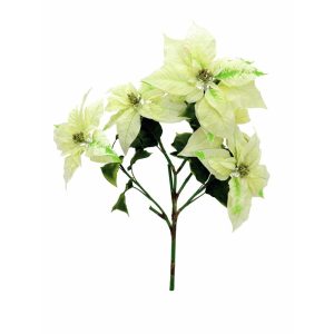 EUROPALMS Poinsettia bush, cream, 60cm
