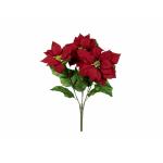 EUROPALMS Kerstster Struik, rood, 50cm