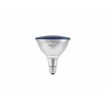 OMNILUX PAR-38 230V SMD 15W E-27 LED blauw