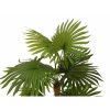 artificial plant