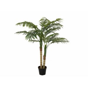 EUROPALMS Areca palm