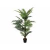 EUROPALMS Areca palm