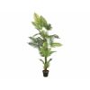 EUROPALMS Areca palm