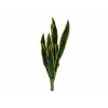 EUROPALMS Snake Tongue (EVA)