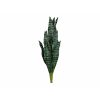 EUROPALMS Snake Tongue (EVA)