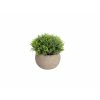 artificial plant