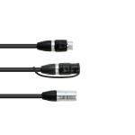 EUROLITE Adapter Cable DMX IP XLR 3pol(m)/2xIP XLR 3pol(f)