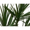 artificial plant