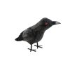 EUROPALMS Halloween Raven