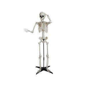 EUROPALMS Halloween Skeleton