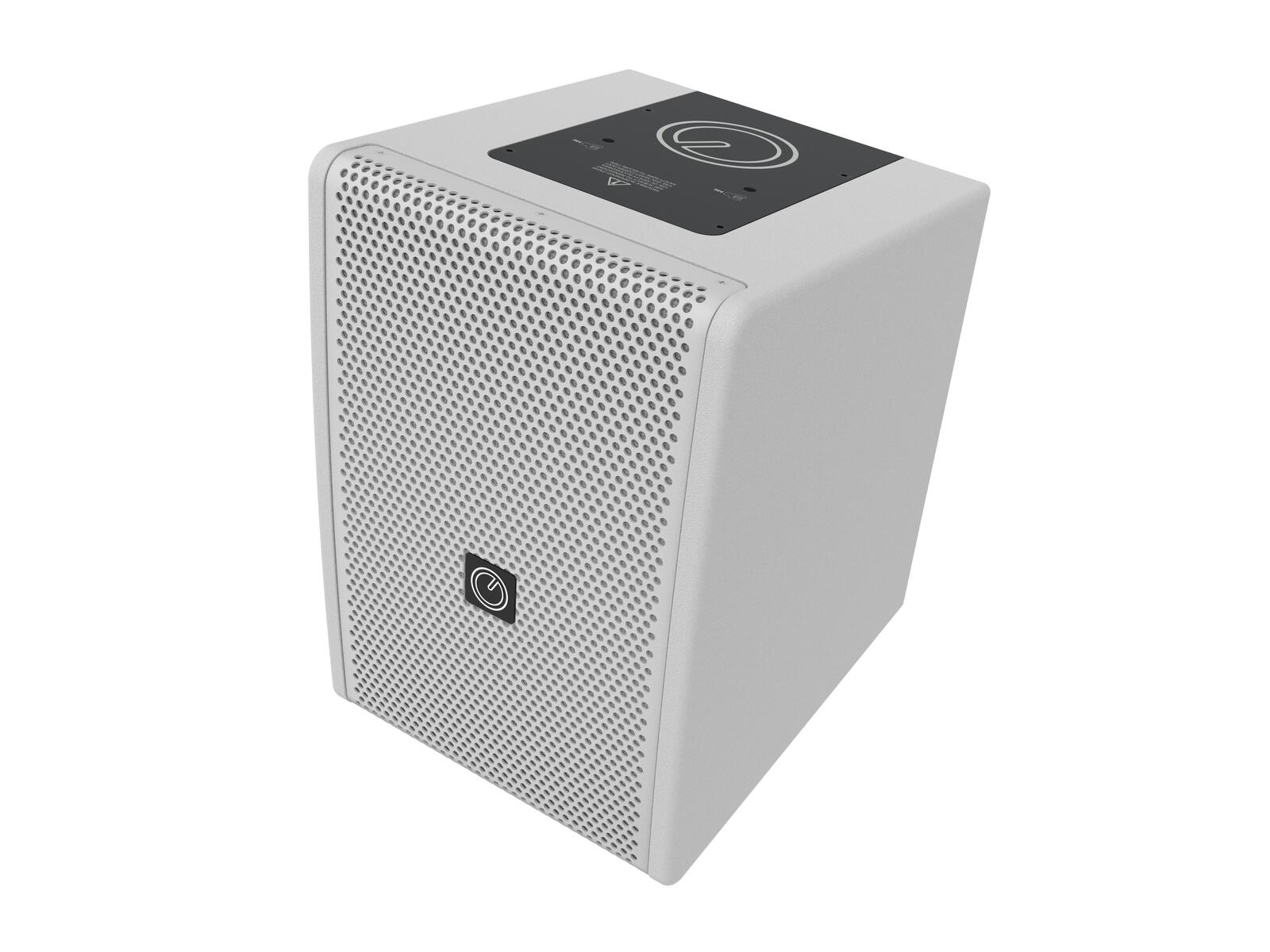 INTUSONIC 6FP100T 6.5" 2-way Fullrange Speaker white