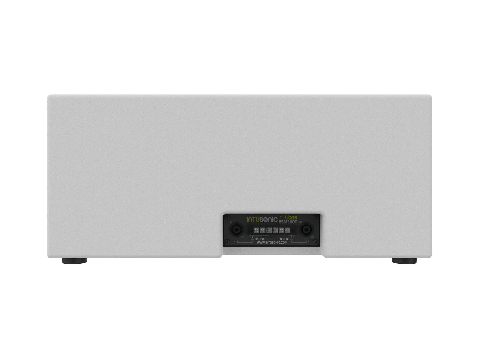 INTUSONIC 8SM300T 2x8" Subwoofer white - Afbeelding 3